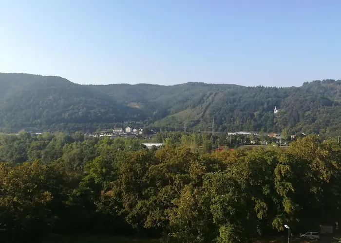 Ferienwohnung Am Weinberg
